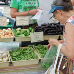 Small farms may be better for food security and biodiversity – Science Matters