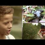VIDEO – Earth Rangers: Bring Back the Wild conservation project