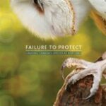 Ottawa’s failure to follow own law threatening endangered species: Ecojustice report