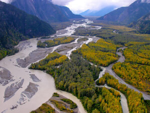 Image from Taku River Tlingit First Nation