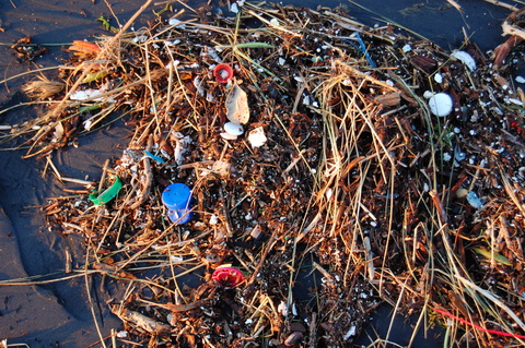 Photo: We have to stop filling and killing the oceans with plastic