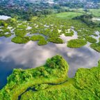 World Wetlands Day – February 2nd, 1971