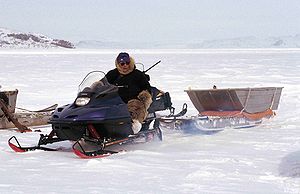 Newswire: Ottawa, Inuit to work together on listing species at risk