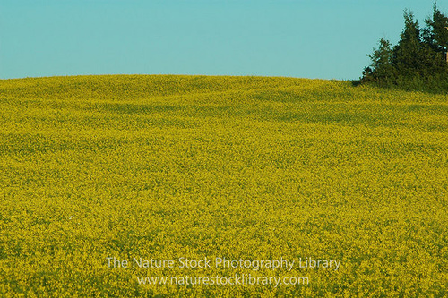 Ecotourism Society of Saskatchewan