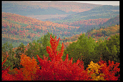 New Brunswick Climate Change Hub