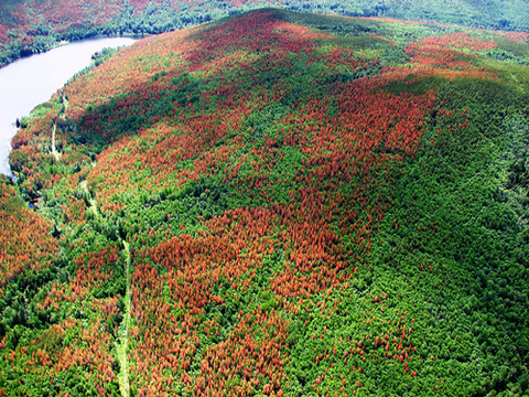 David Suzuki: Energy shift requires shift in conversation