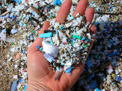 David Suzuki: Microbeads are a sign of our plastic consumer madness