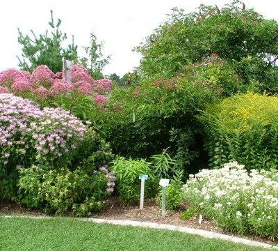 Ottawa’s Native Plant Garden Days