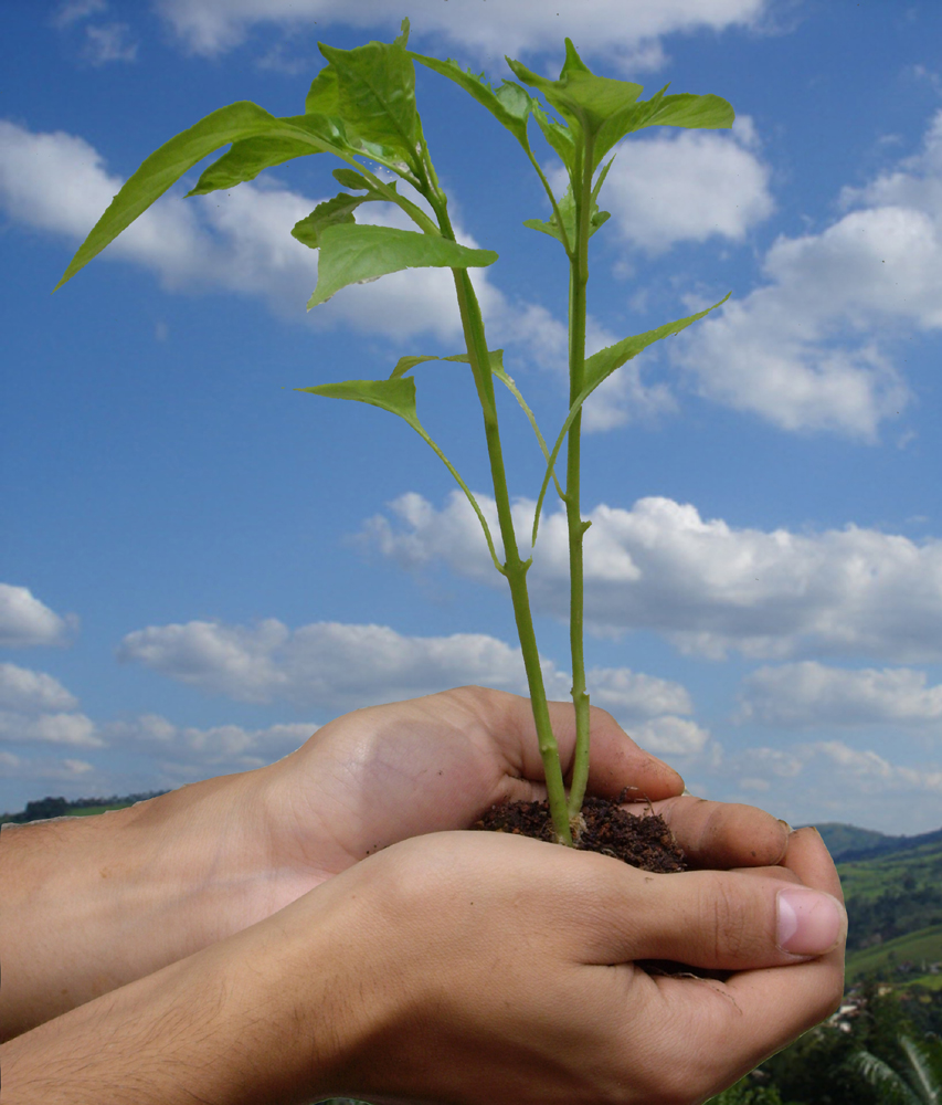 World Environment Day – June 5th