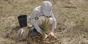 Niagara Community Tree Plant – May 6, 2017