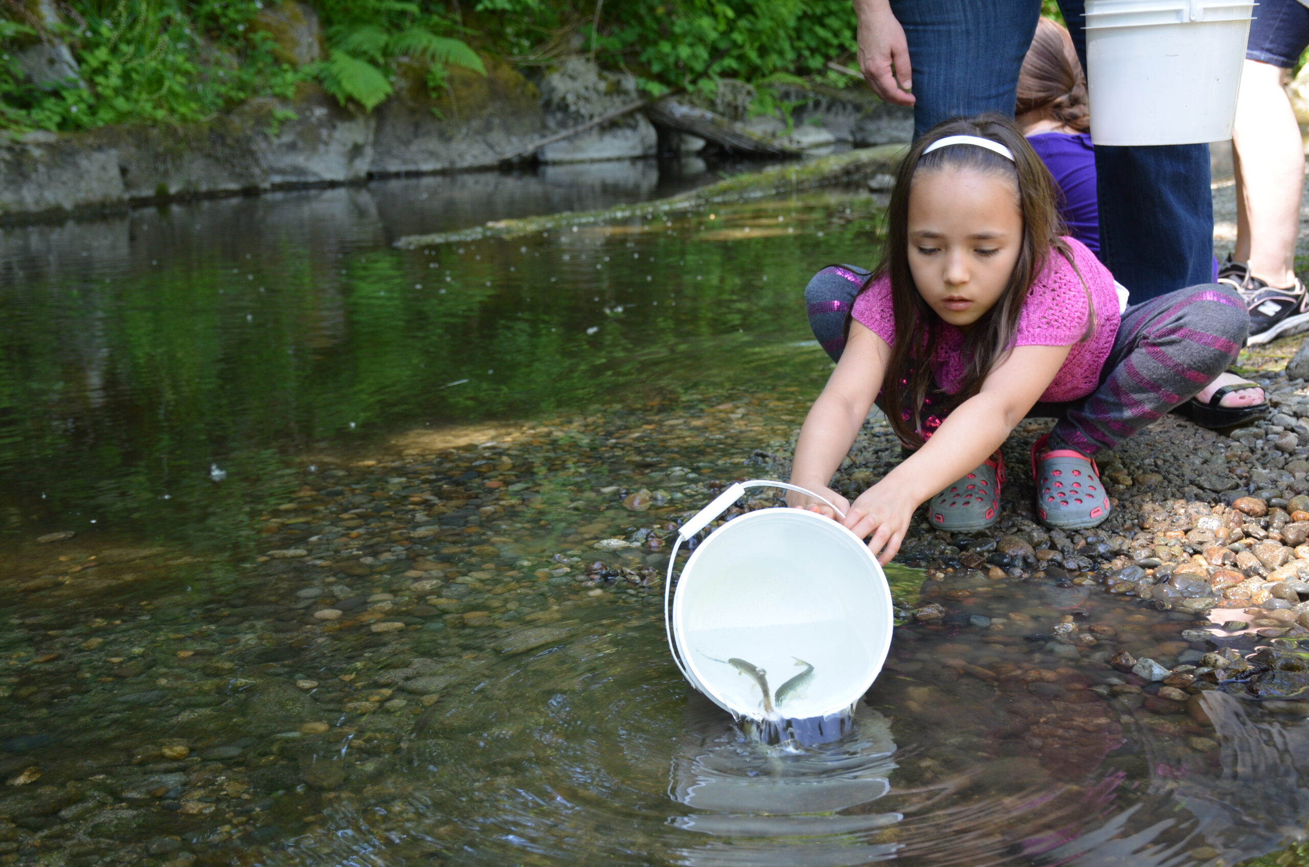 20th Annual Surrey Environmental Extravaganza, April 22 – June 11