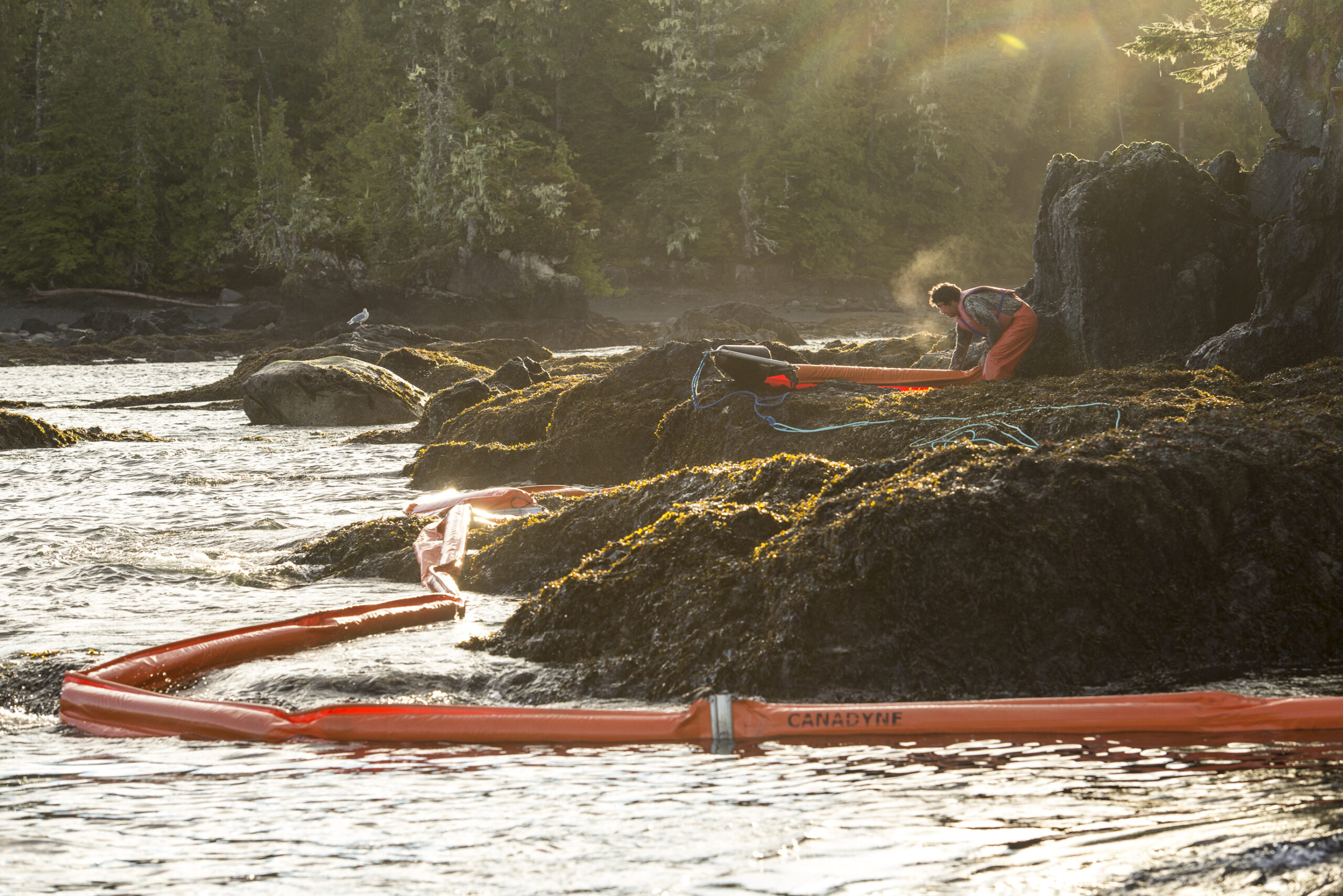 Heiltsuk Nation looks to build Indigenous Marine Response Centre