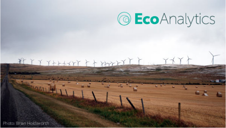 Climate Change and Canadians: New Public Opinion Research by EcoAnalytics