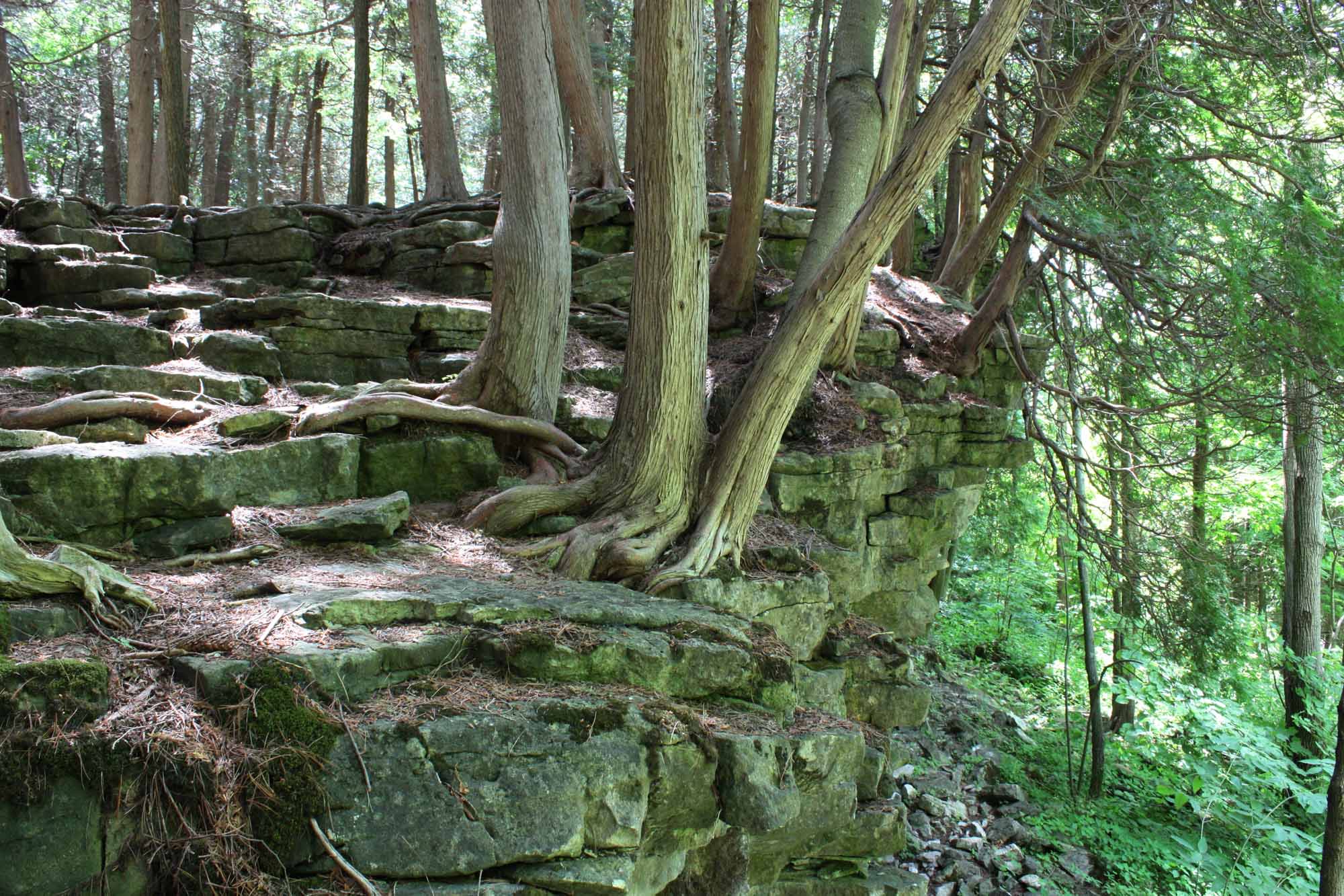 The Story of Building Ontario’s Bruce Trail