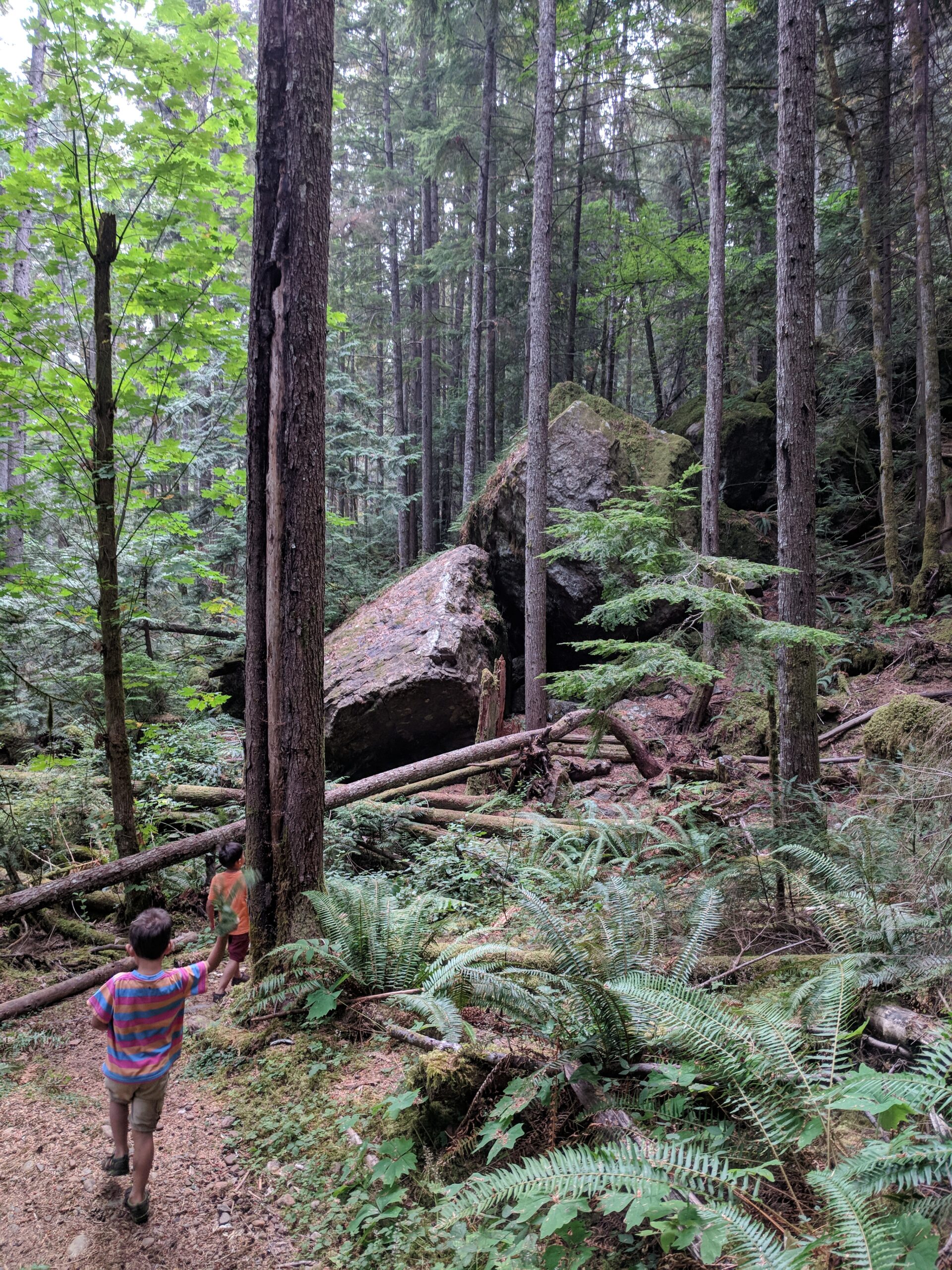 Perseverance Creek collaboration expands Cumberland Community Forest