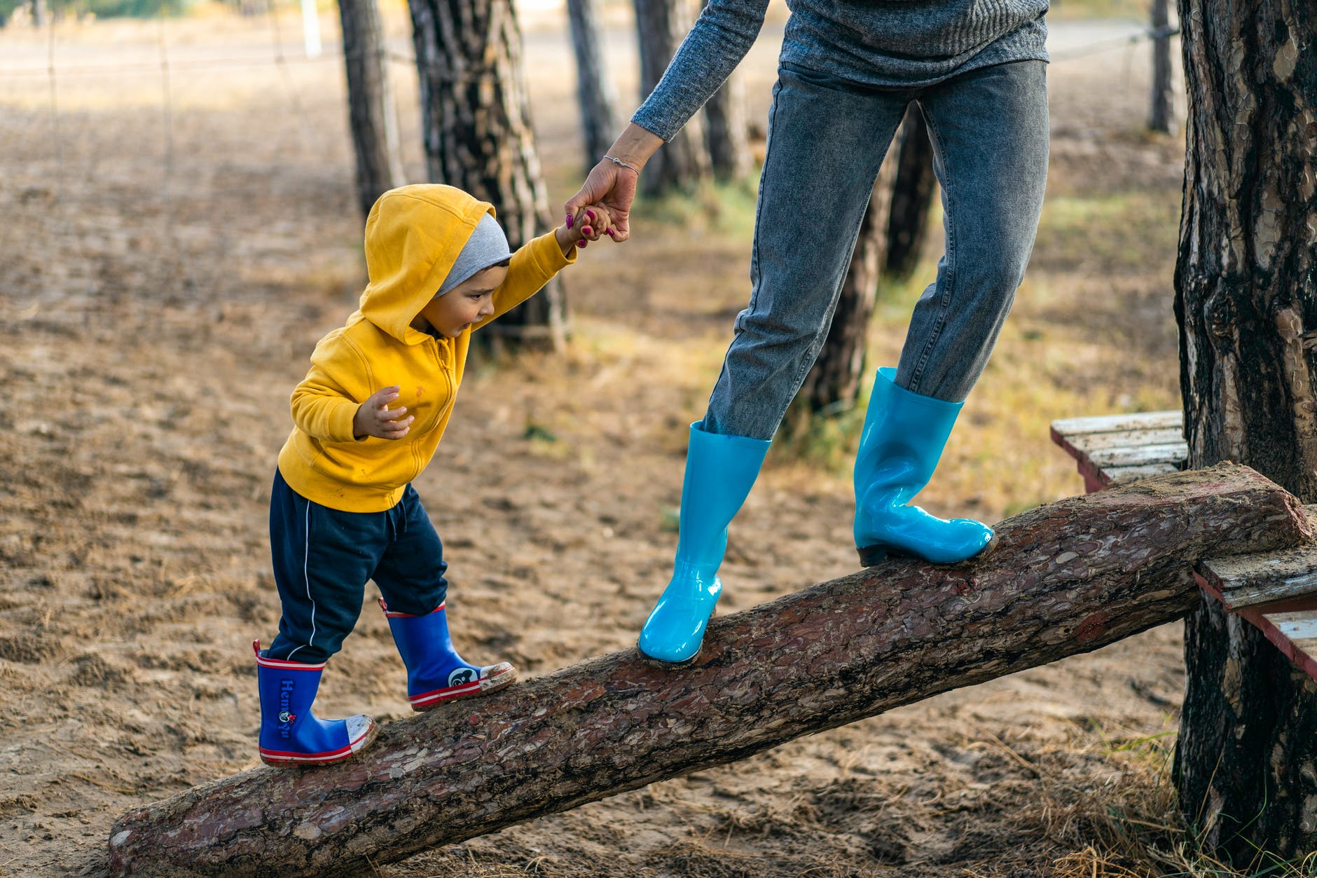 Book Review: The Failure of Environmental Education