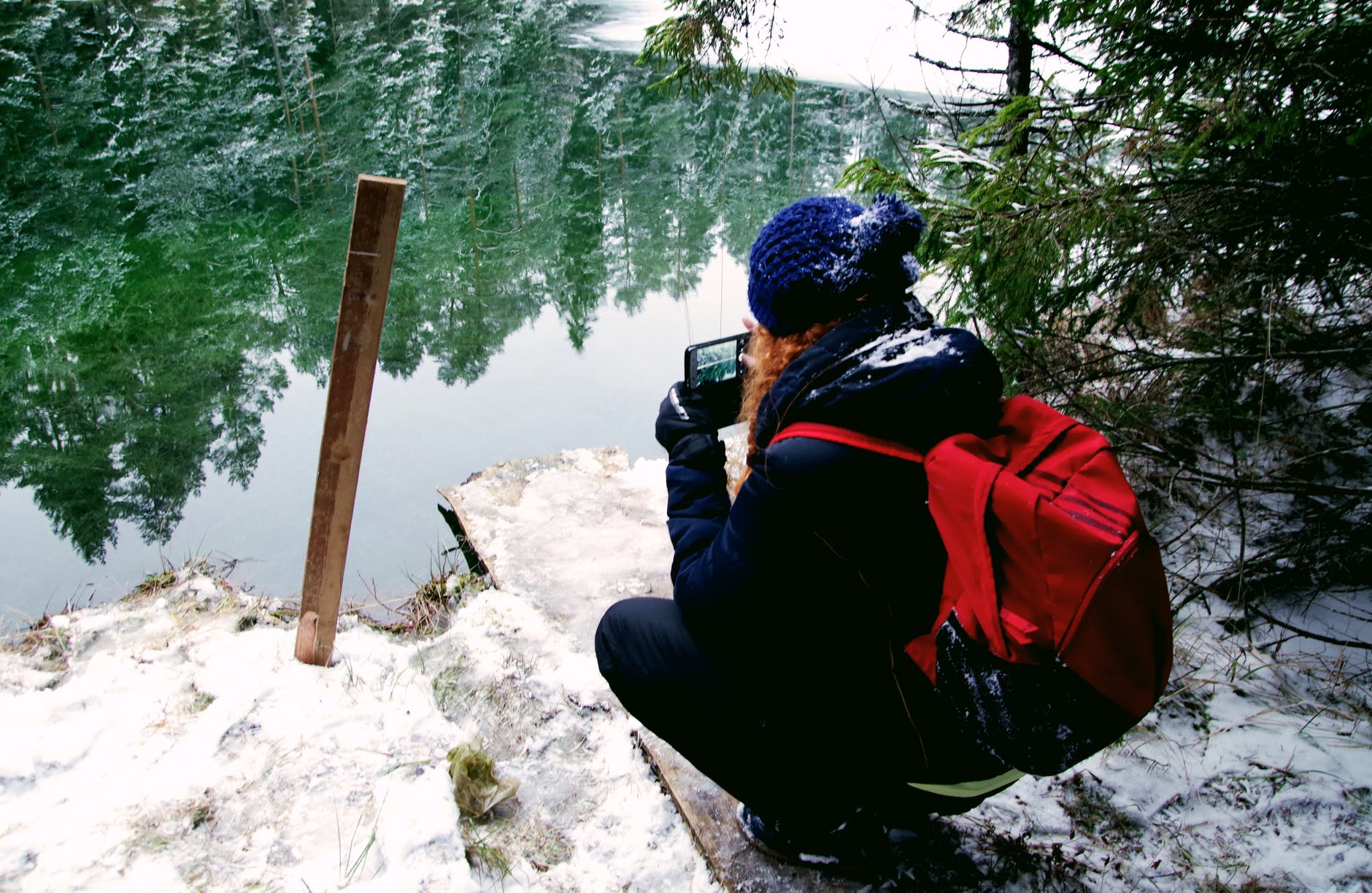 Be part of the citizen science community with iNaturalist.ca