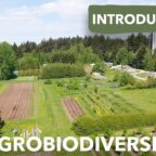 What is Agrobiodiversity?